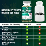 Organic Sea Moss Capsules 2000Mg with Burdockroot, for Immune Boost, Skin & Joint Health, Gut Cleanse & Thyroid Support - 120 Capsules