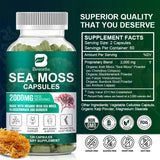 Organic Sea Moss Capsules 2000Mg with Burdockroot, for Immune Boost, Skin & Joint Health, Gut Cleanse & Thyroid Support - 120 Capsules