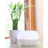 0.2 Gal. 2-In-1 Ultrasonic Cool Mist Humidifer & Aroma Diffuser for Small Rooms up to 160 Sq. Ft.