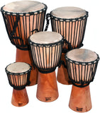 Djembe Beginner Plain, 20