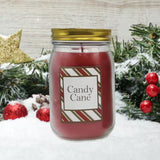 Scented Candles Holiday Collection in 18 Oz. Glass Jars (3 Count)