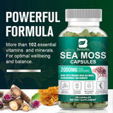 Organic Sea Moss Capsules 2000Mg with Burdockroot, for Immune Boost, Skin & Joint Health, Gut Cleanse & Thyroid Support - 120 Capsules